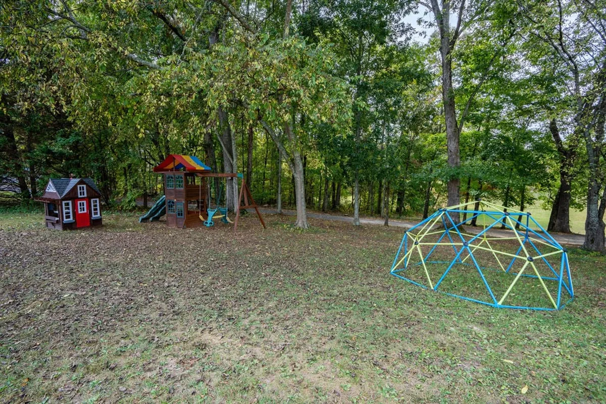 A vibrant outdoor play space featuring a playhouse, a play structure with slide, and a geodesic dome climber. Children are actively playing, emphasizing the playful, adventure-filled environment. The scene radiates joy and energy, illustrating the resort-style playground for all ages.